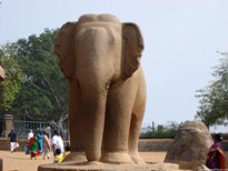 Elephant statue of Pallava, Mahapalipuram
