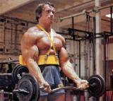 Arnold