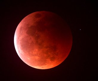 Luna Eclipse